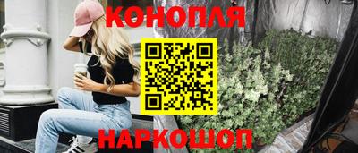 крисы Обь