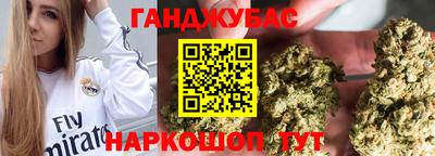 крисы Обь