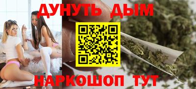 МДПВ Новодвинск