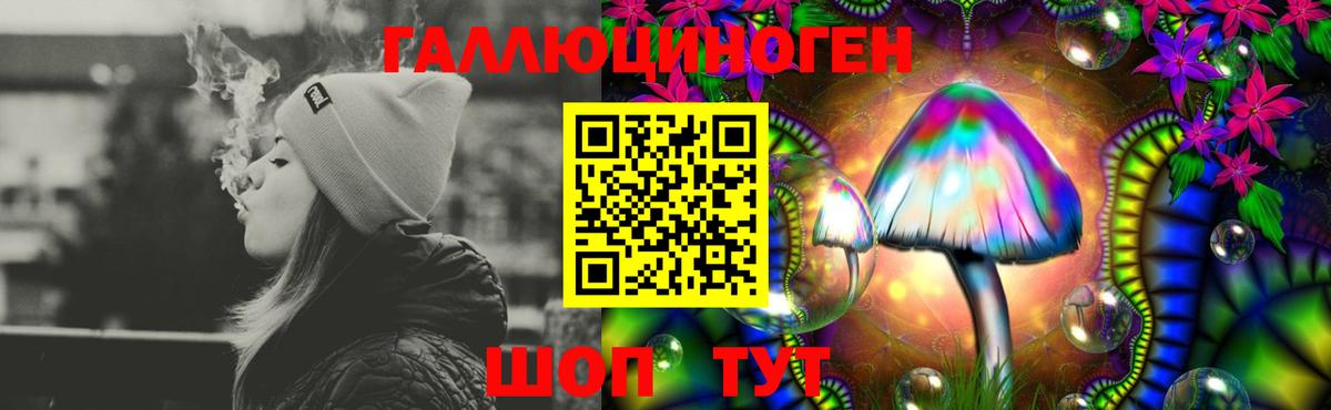 Псилоцибиновые грибы GOLDEN TEACHER Семёнов